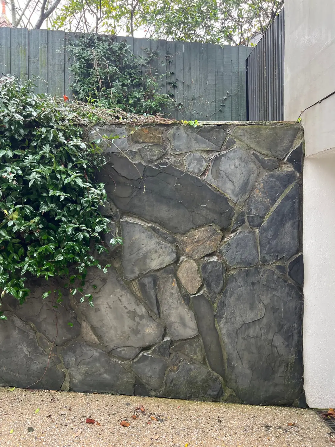 House wash on a Melbourne weatherboard exterior