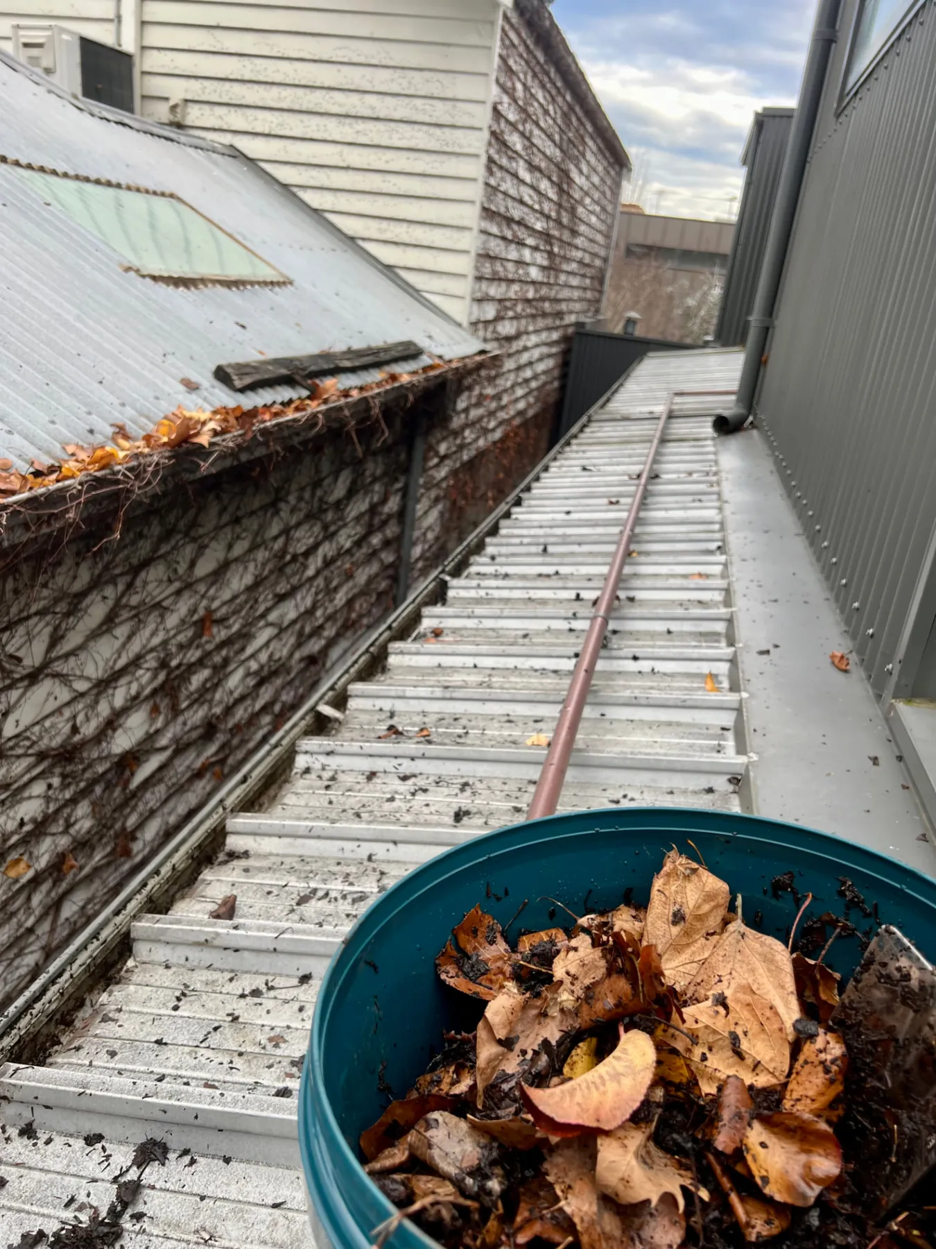 Gutter clean in Prahran
