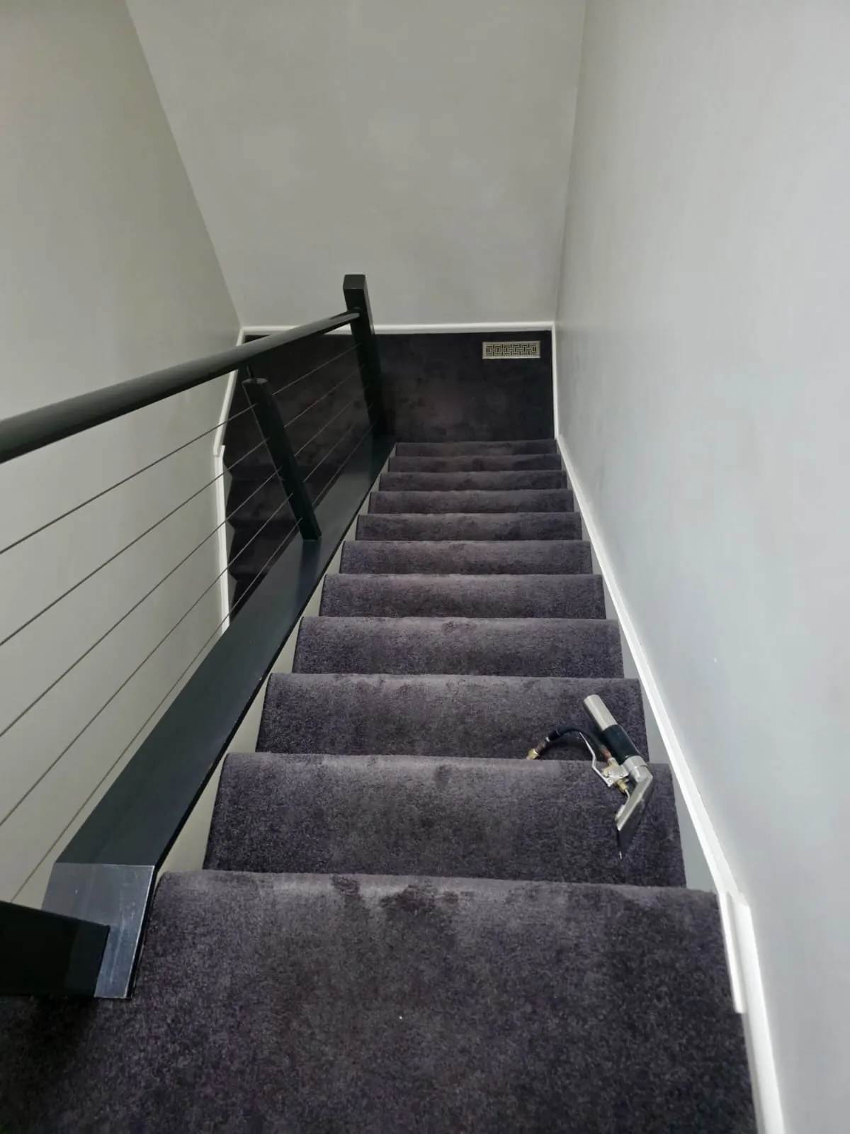 End of lease clean — freshly steam-cleaned stair carpet