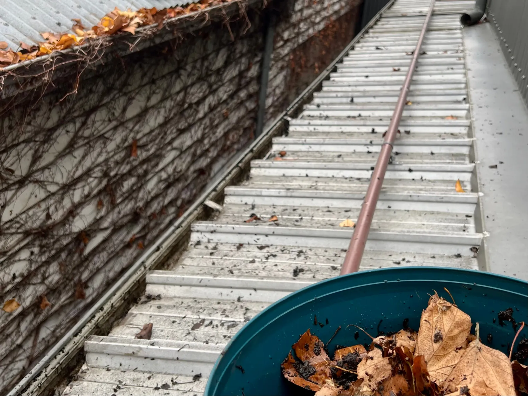 Gutter cleaning on a Melbourne roofline