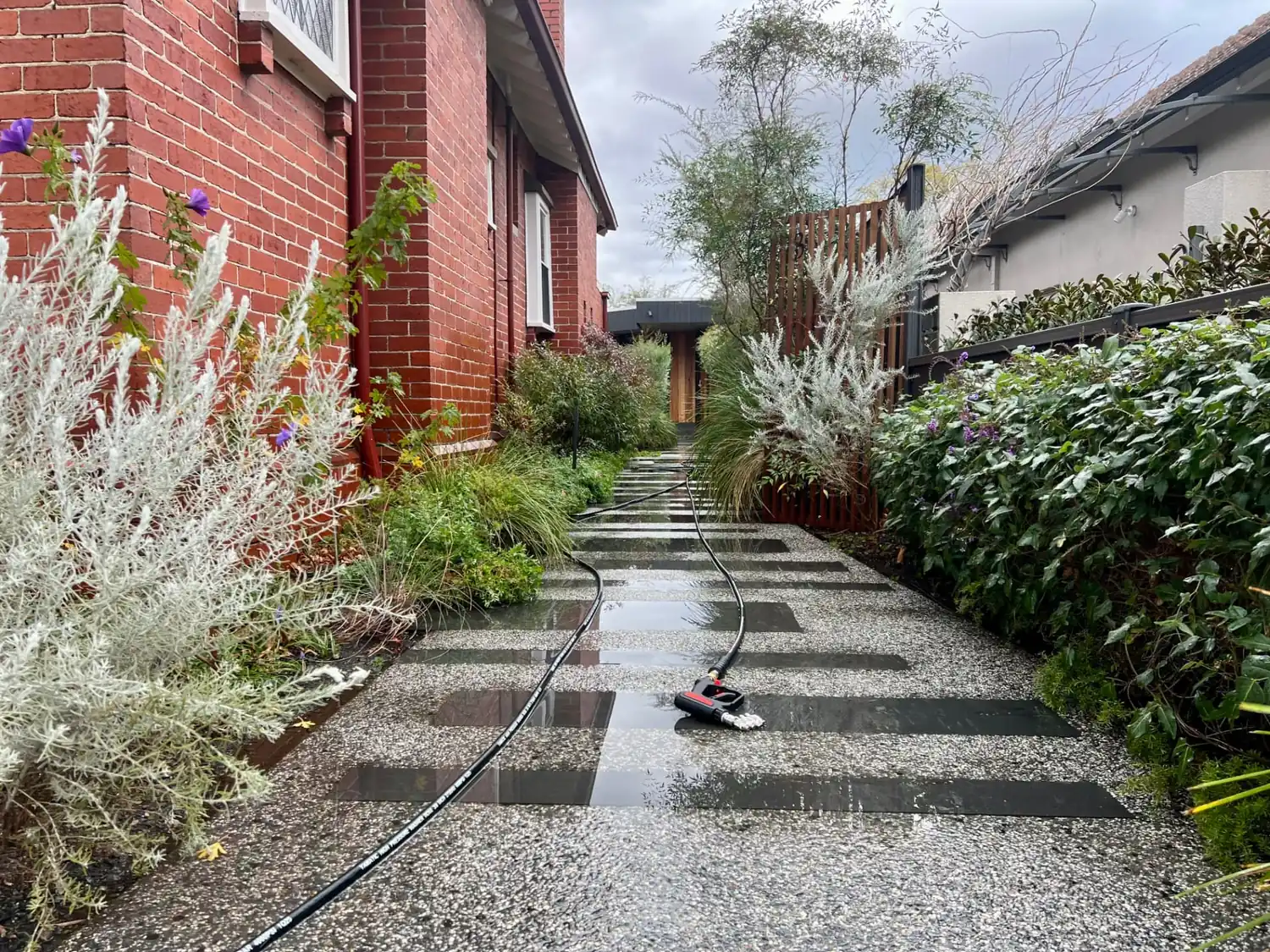Soft washing a rendered Melbourne home exterior